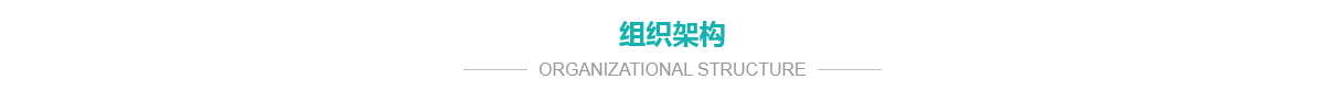 公司简介