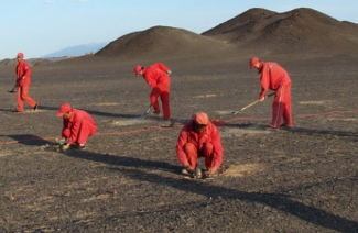 加速度传感器在地震检波器中的应用