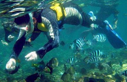 潜水设备中压力传感器应用技术解决方案